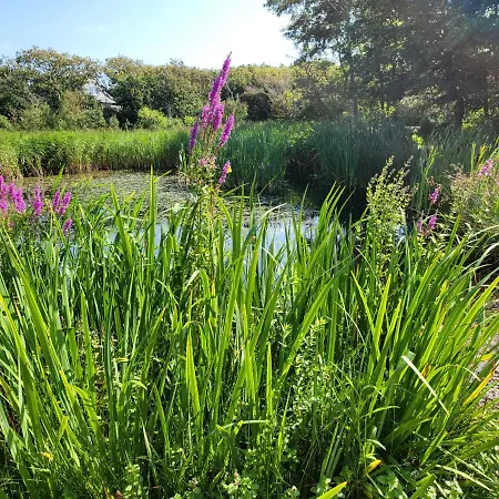 Canberra. Apartment *