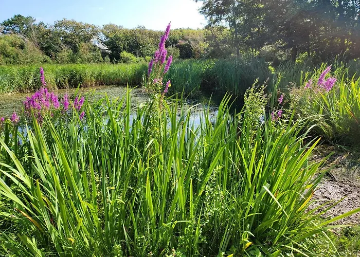 Canberra. Apartment *